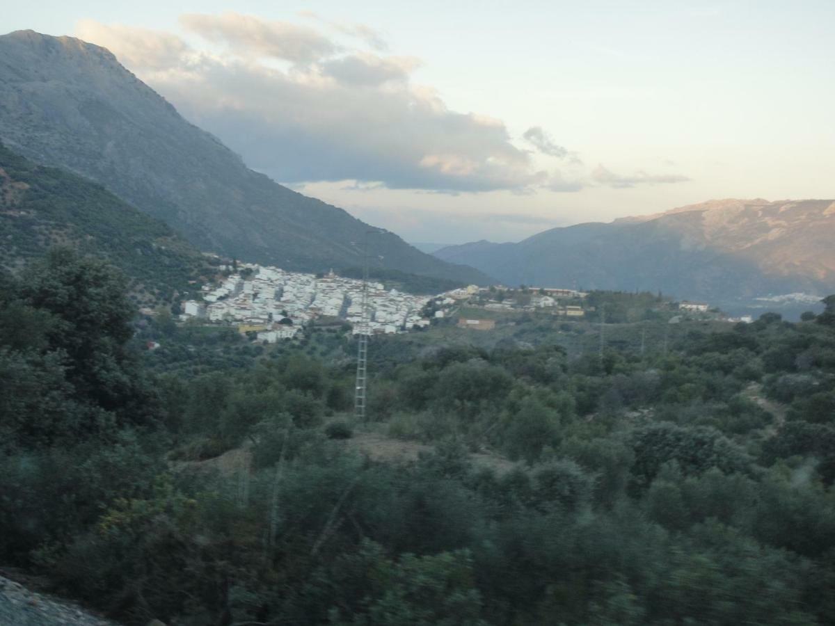 La Fontana Βίλα Cortes de la Frontera Εξωτερικό φωτογραφία