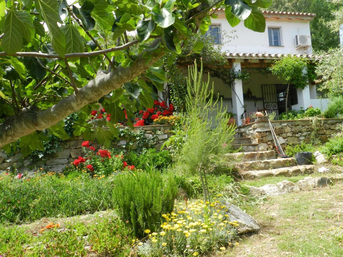 La Fontana Βίλα Cortes de la Frontera Εξωτερικό φωτογραφία