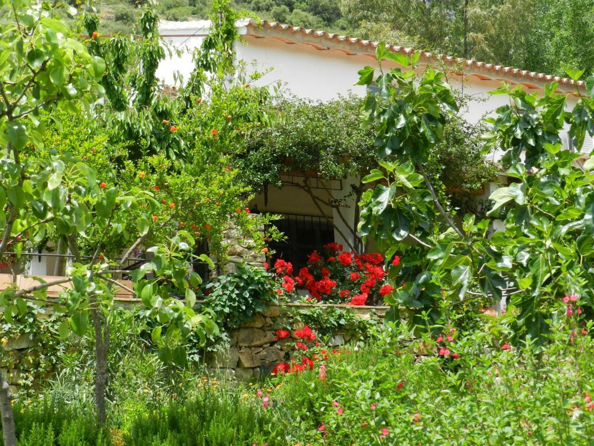 La Fontana Βίλα Cortes de la Frontera Εξωτερικό φωτογραφία